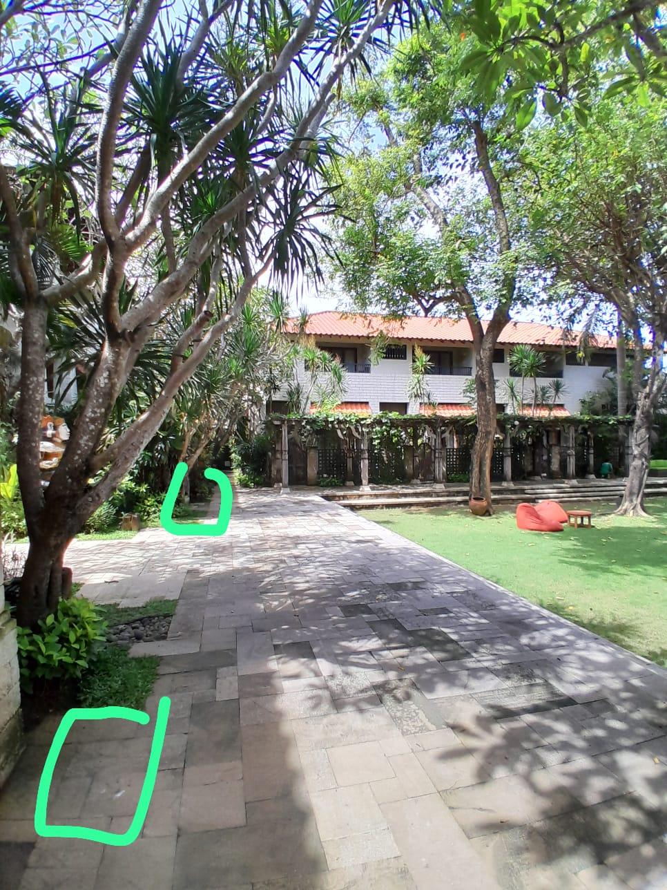 WhatsApp Image 2025-12-31 at 15.41.43.jpeg