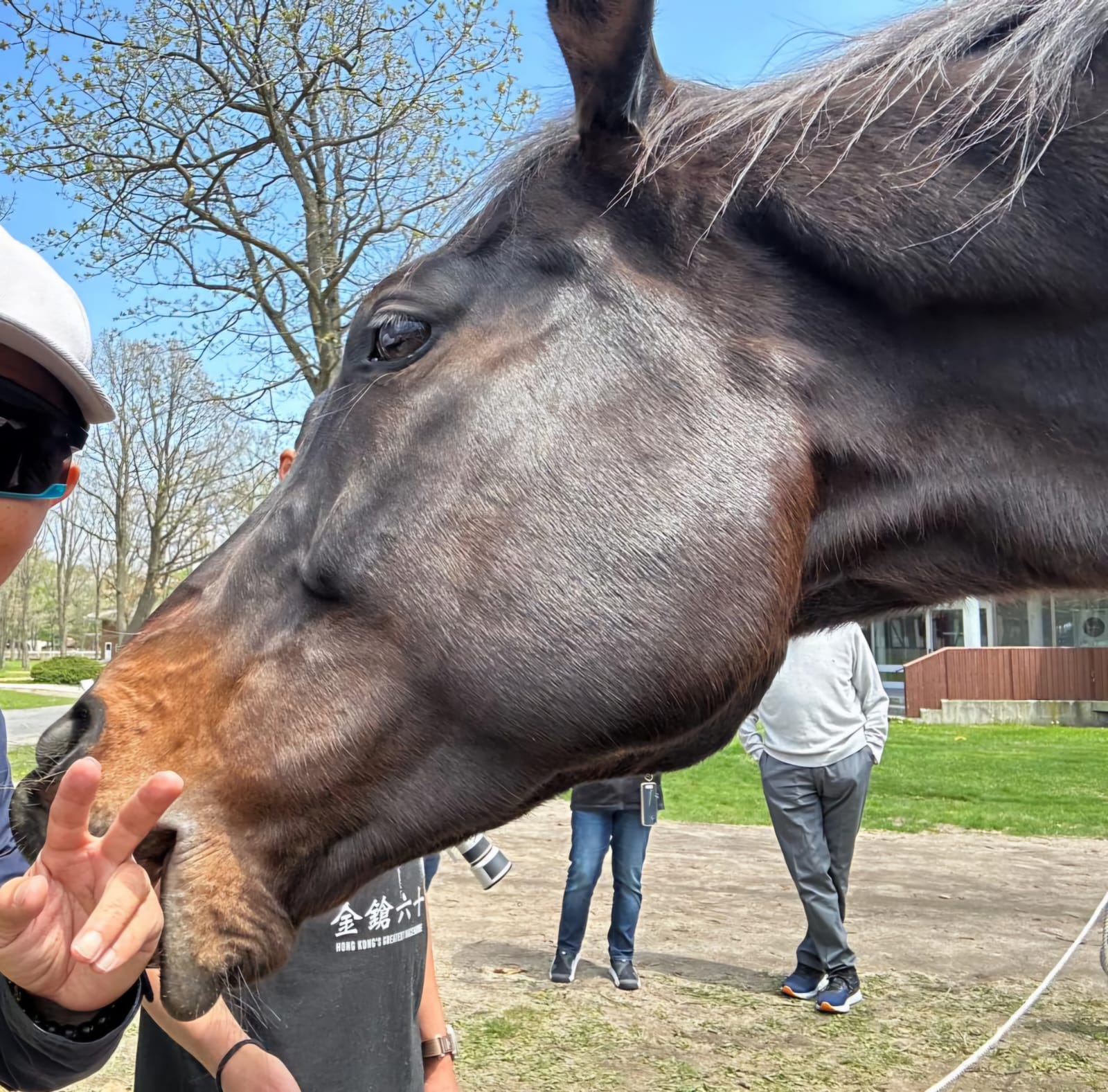 WhatsApp Image 2026-01-23 at 09.16.04 (1).jpeg