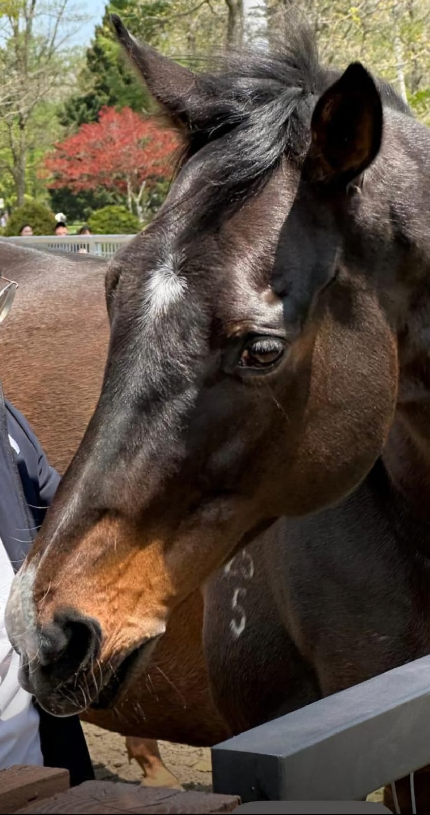 WhatsApp Image 2026-01-23 at 09.16.04.jpeg