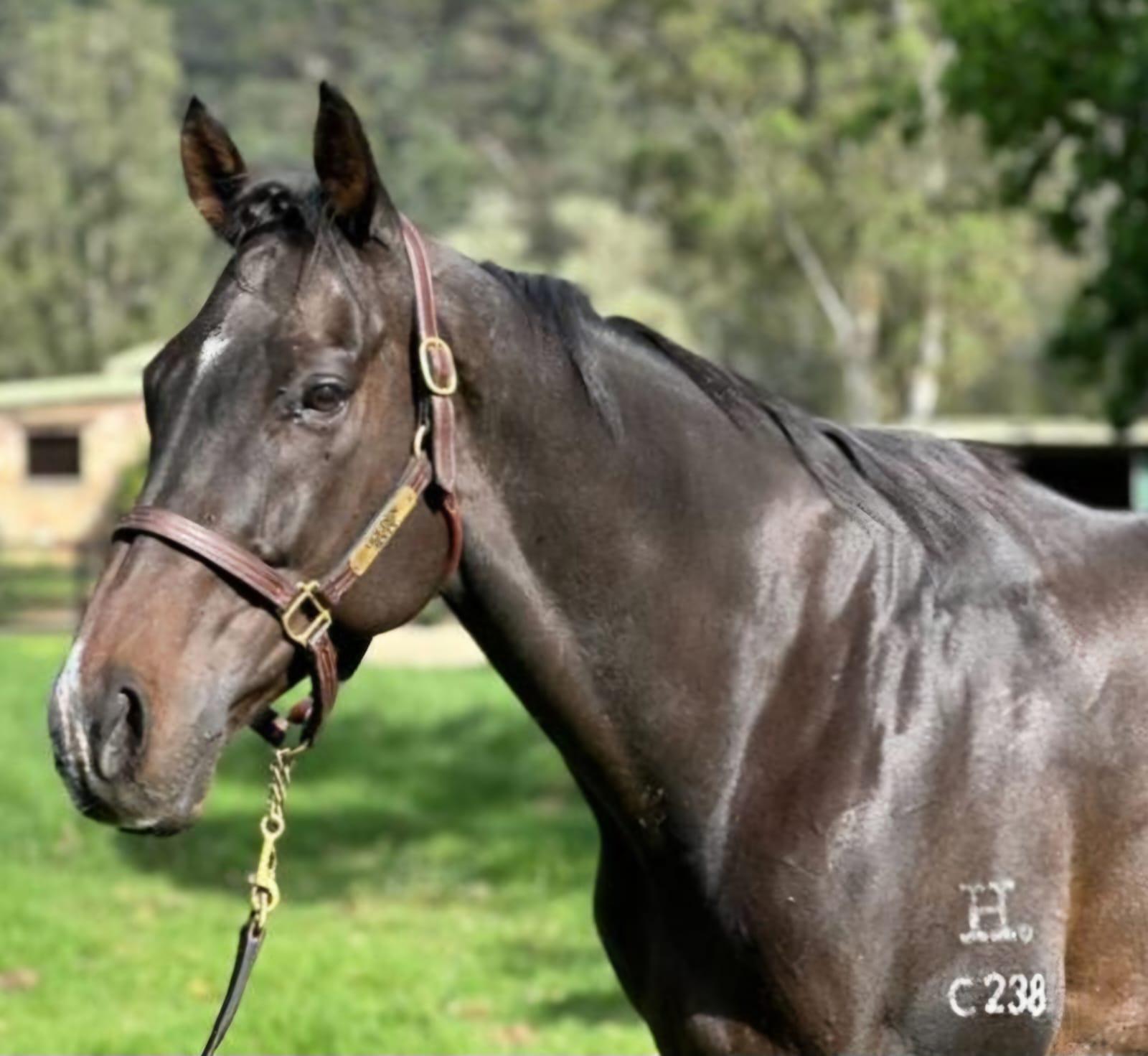 WhatsApp Image 2026-01-23 at 09.20.19.jpeg