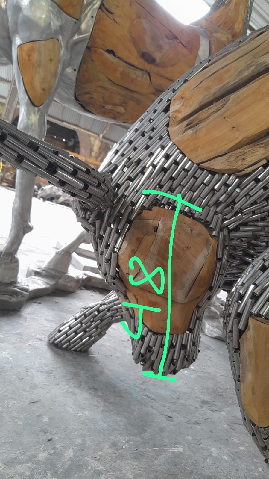 WhatsApp Image 2026-02-24 at 11.43.15.jpeg